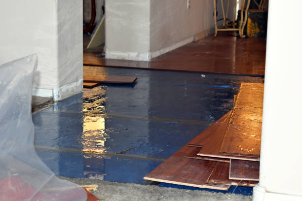Professional Basement Flood Cleanup technician working in Runge, TX